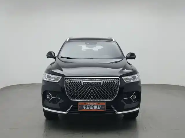 Haval H6 2021 1.5GDIT Automatic Luxury Edition — фото 3