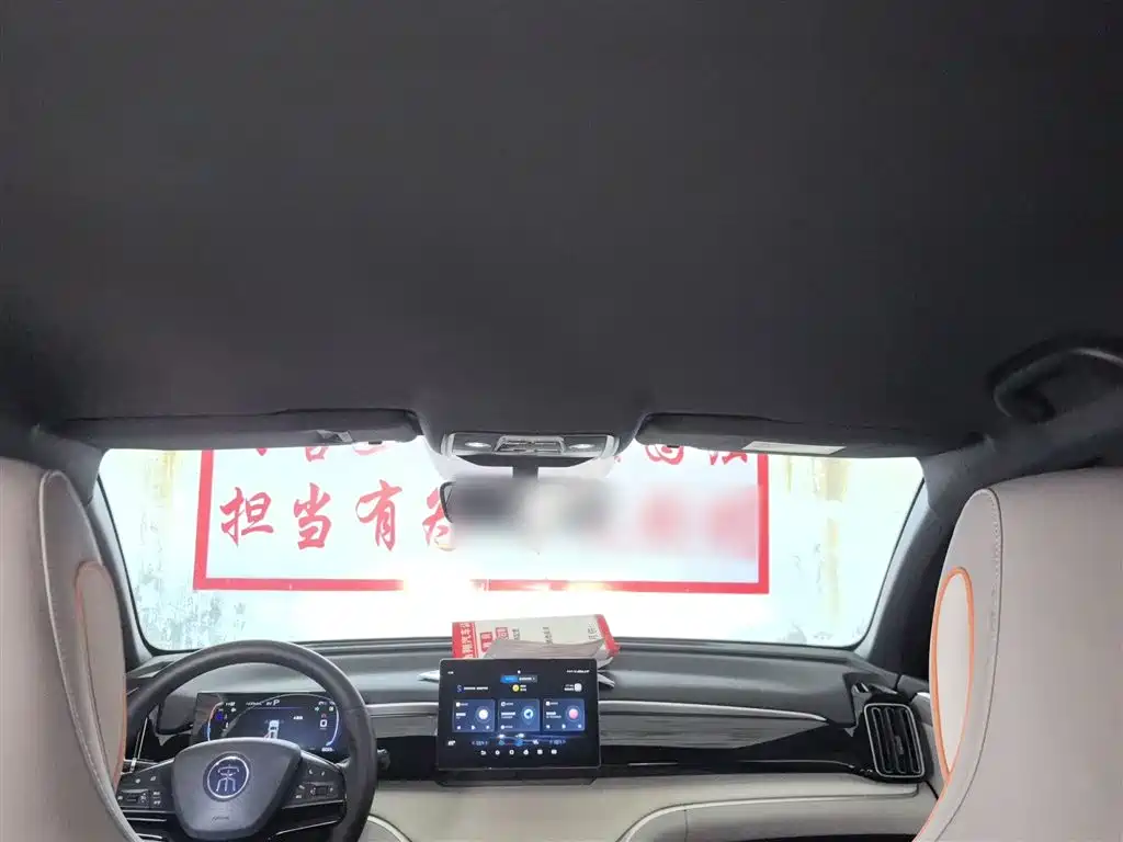 BYD Song Pro New Energy 2023 Champion Edition DM-i 71KM Pilot Model фото 14