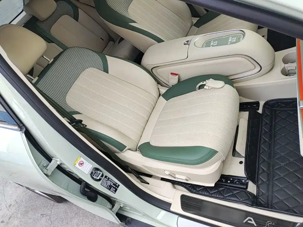 Ora Good Cat 2023 2023 401km Standard Range Premium LFP