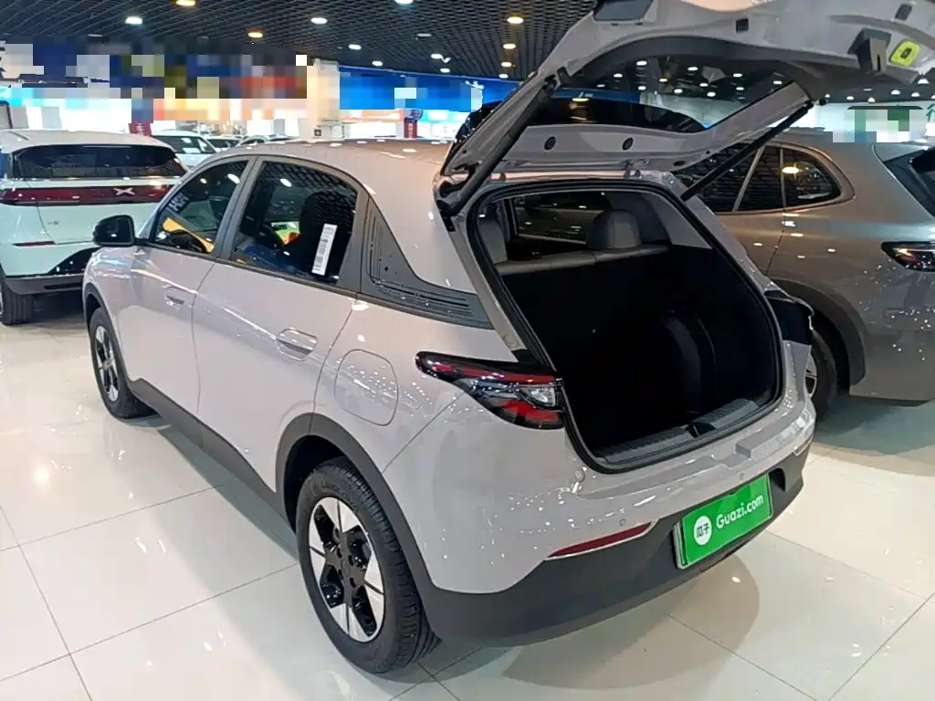 Geely Galaxy Starry Wish 2026 2026 Edition 410km Freedom Version