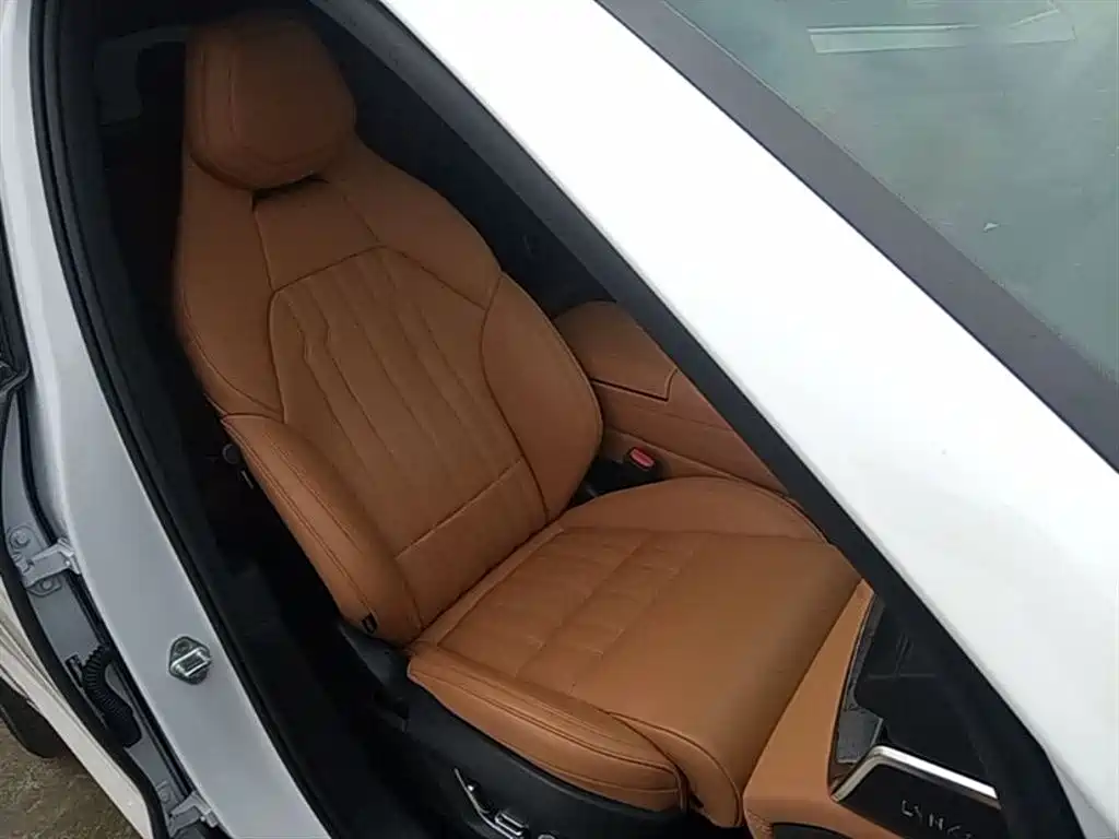 Lynk & Co 09 EM-P 2023 2.0TD EM-P Voyage PM 7-Seater фото 25