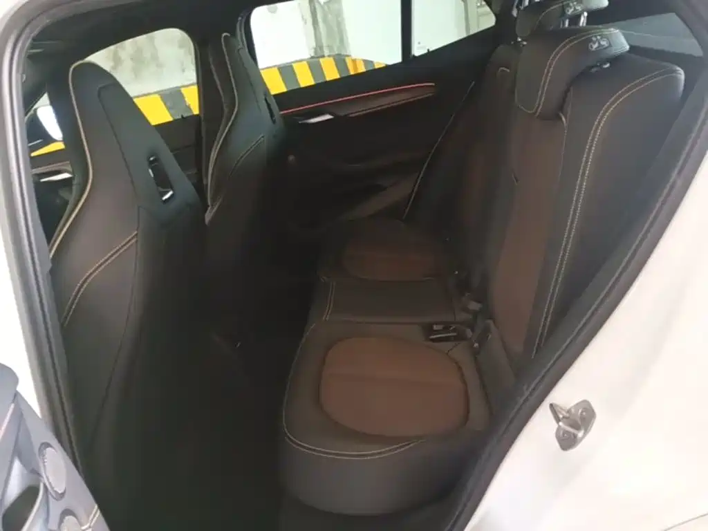 BMW X2 2024 2023 xDrive 25i Radiance Edition