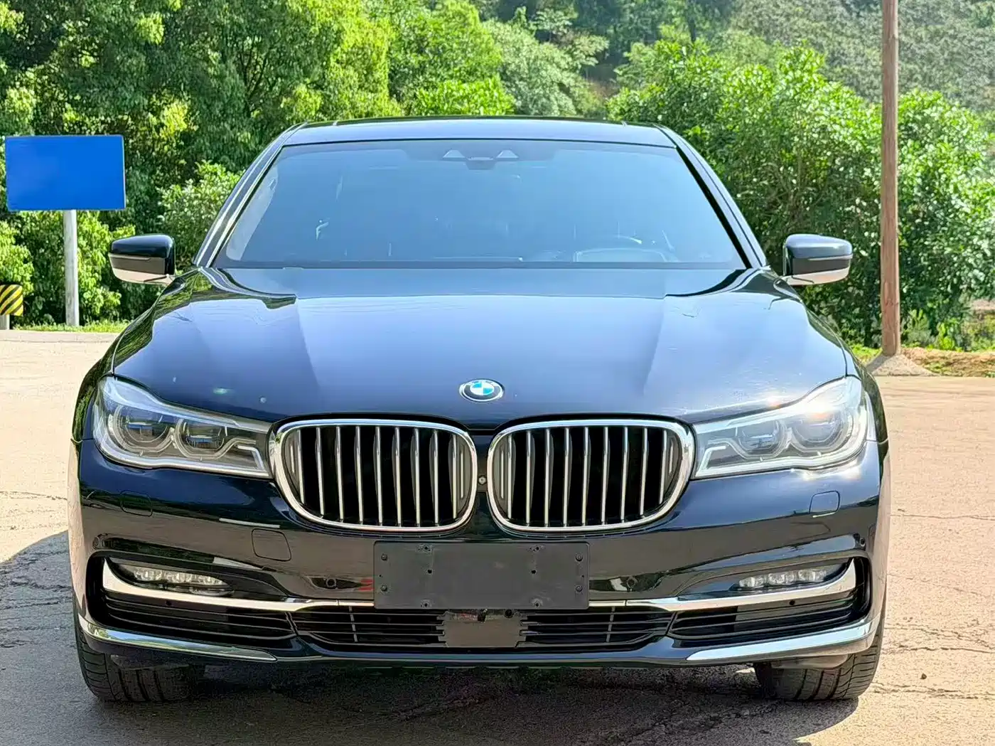 BMW 7 Series 2017 740Li xDrive Luxury Edition фото 2