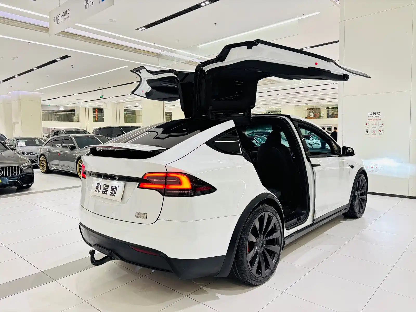 Фото 4 - Tesla Model X