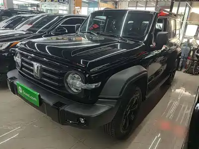Tank 300