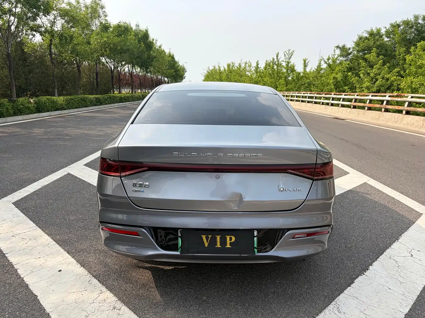 BYD Qin PLUS 2023 Champion Edition DM-i 55KM Leading фото 8