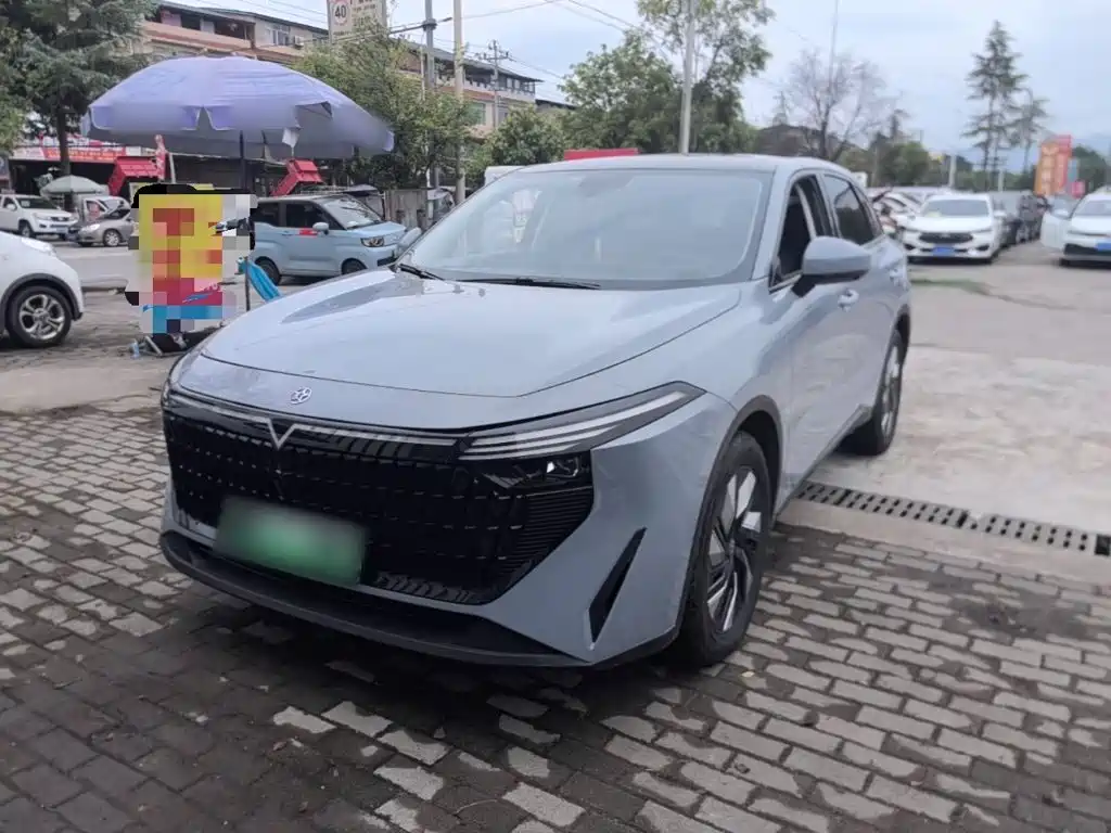 Venucia DaV DD-i 2024 2023 110km iE Edition