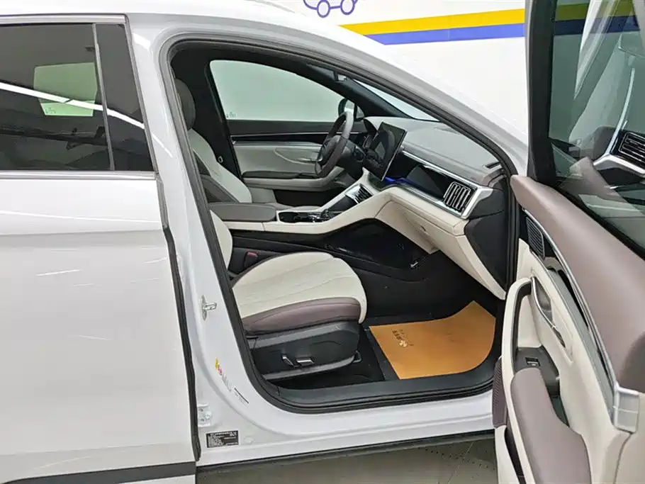 BYD SONGJIANG NEW ENERGY