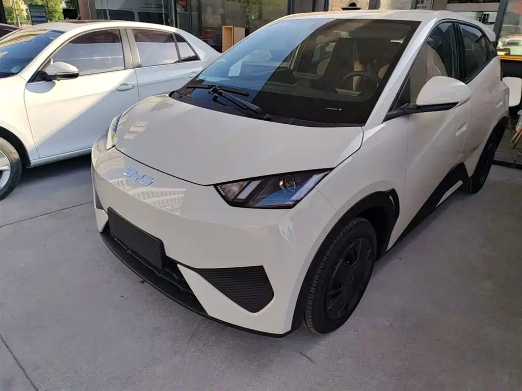 BYD Seagull 2025 Smart Drive Edition 305km Vitality Version