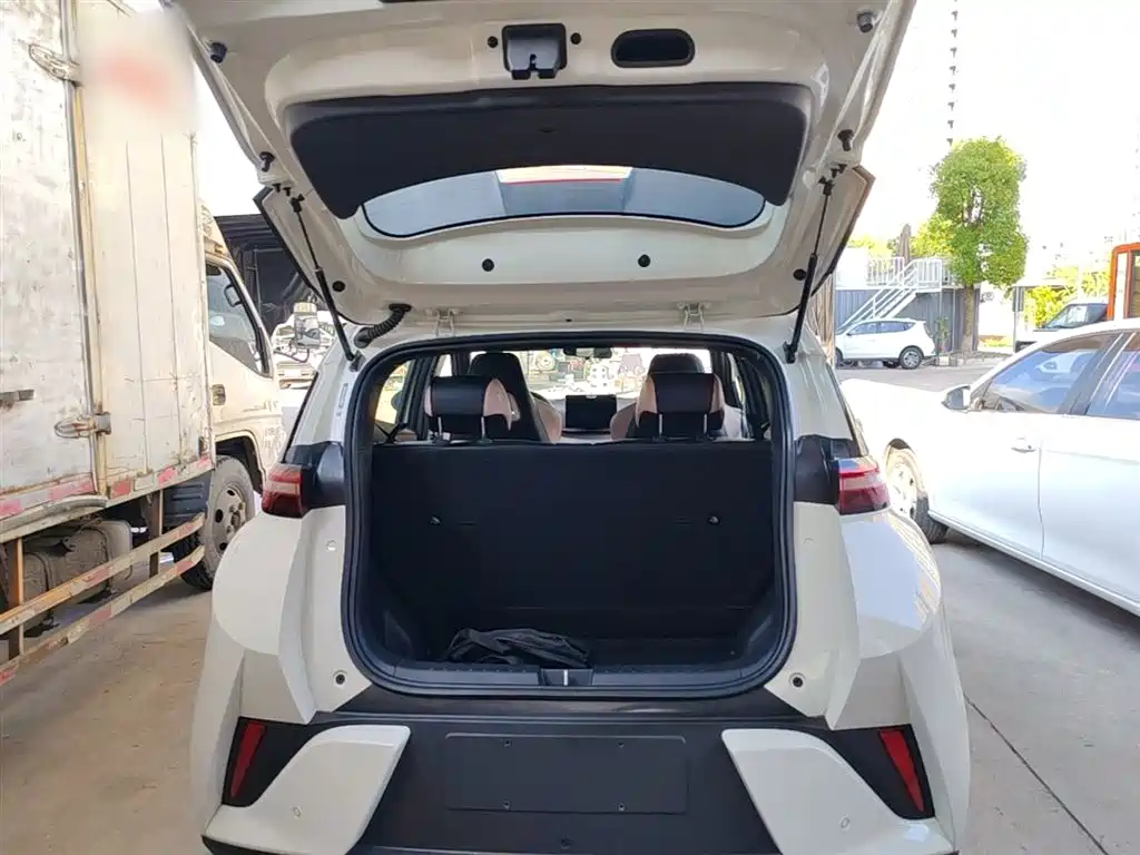 BYD Seagull 2025 Smart Drive Edition 305km Vitality Version фото 19