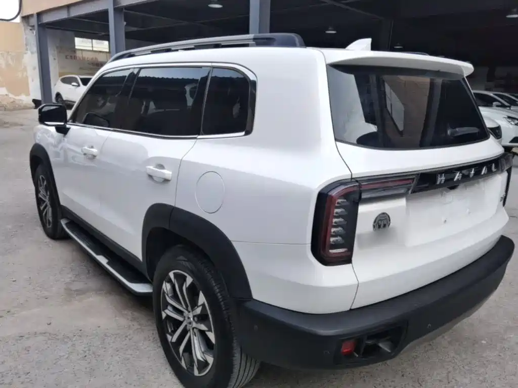 Фото 5 - Haval Dargo