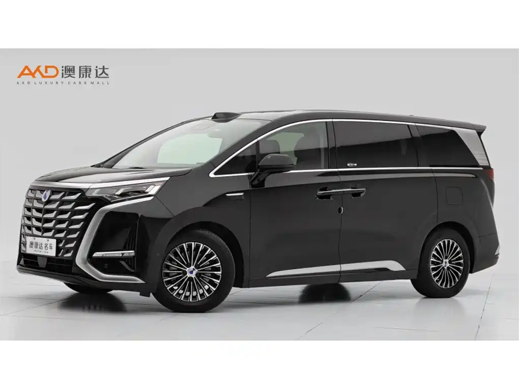 2026 Denza D9