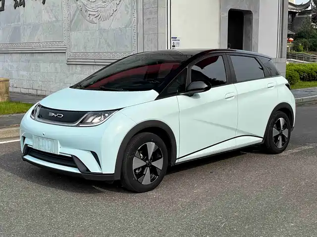 BYD Dolphin 420km, Стиль