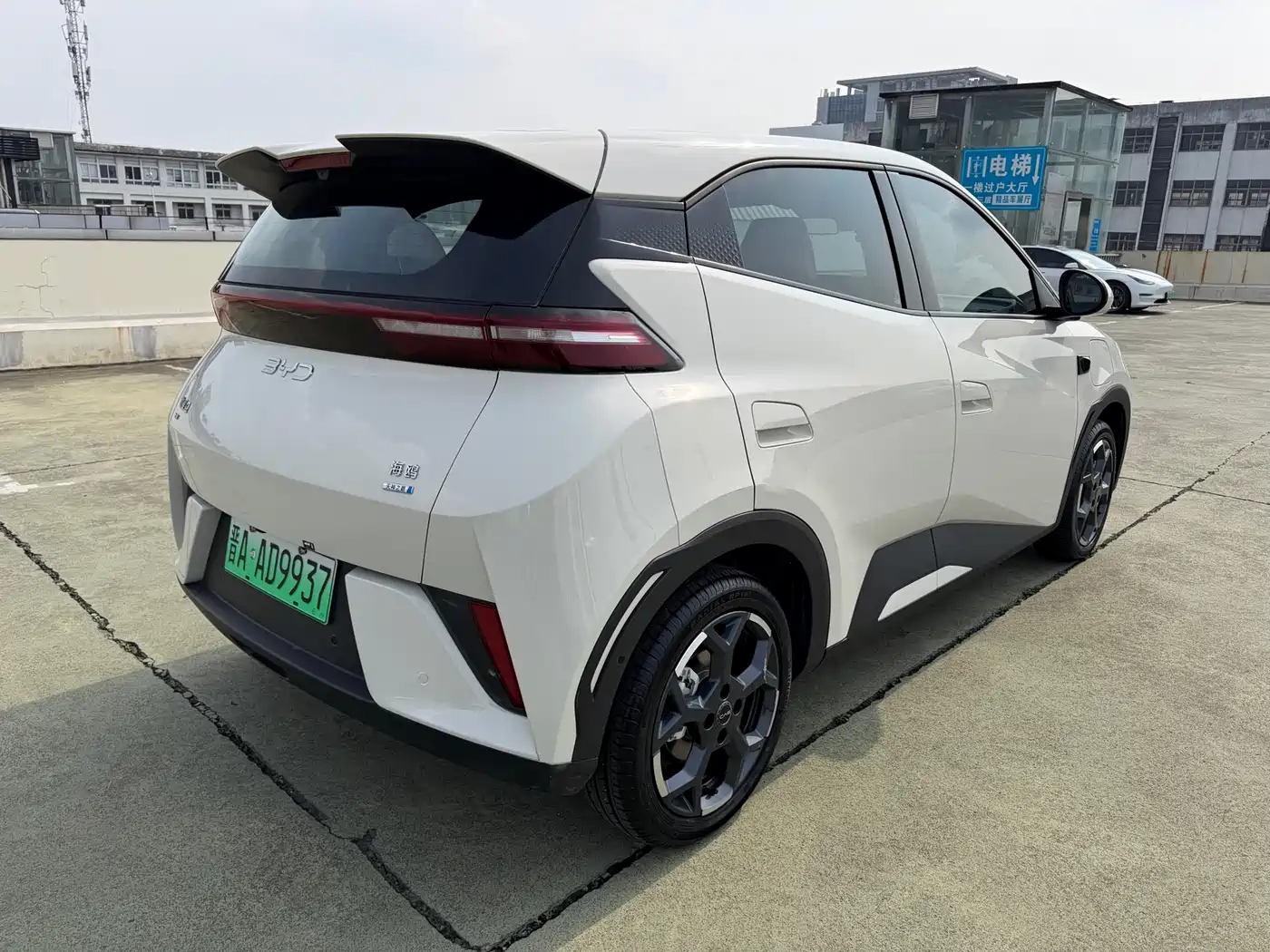 BYD Seagull 2025 Smart Drive Edition 305km Freedom Version фото 5