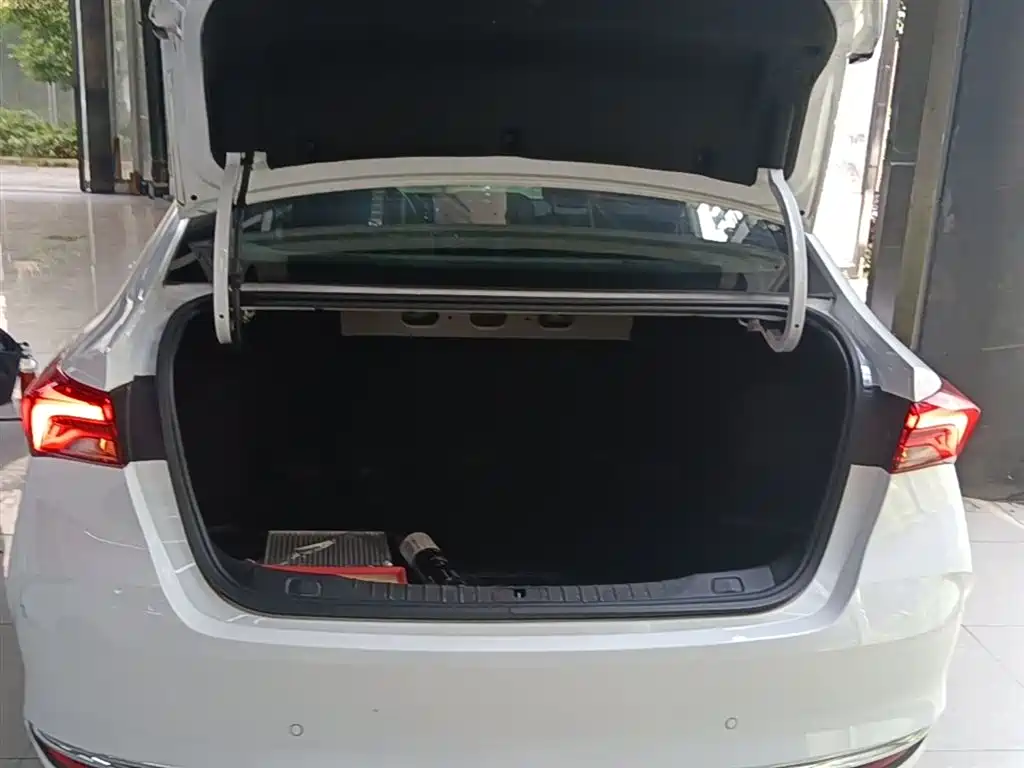 BUICK WEILANG