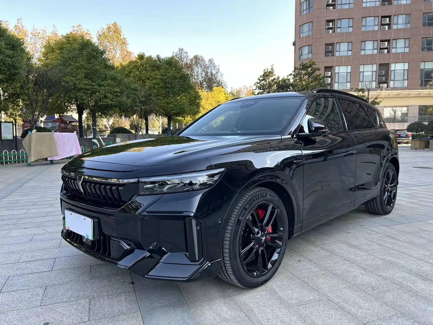 Voyah Auto VOYAH FREE 2025 318 259km 4WD Explorer Edition фото 2