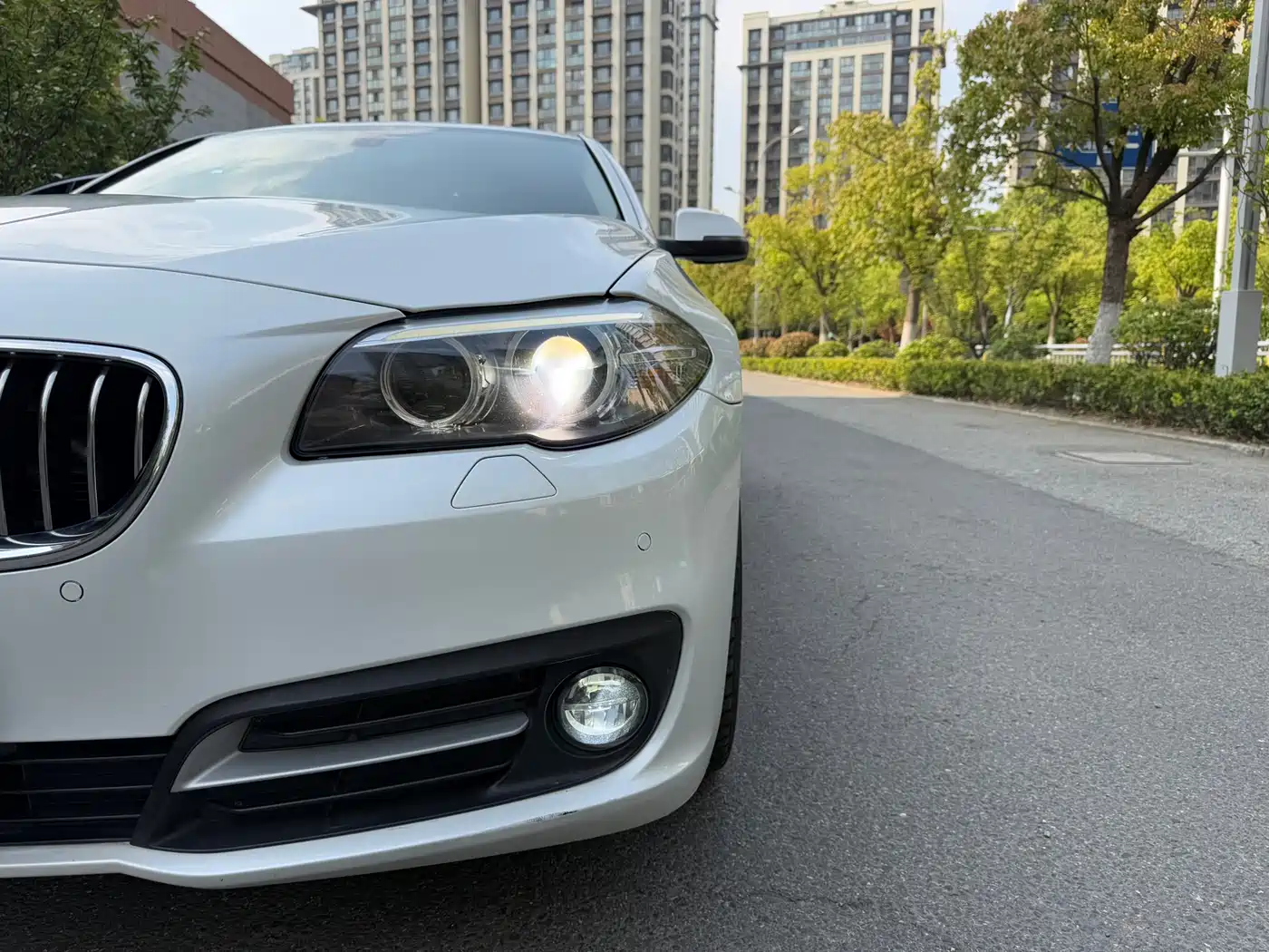 BMW 5 Series 2017 525Li Leading Edition фото 8