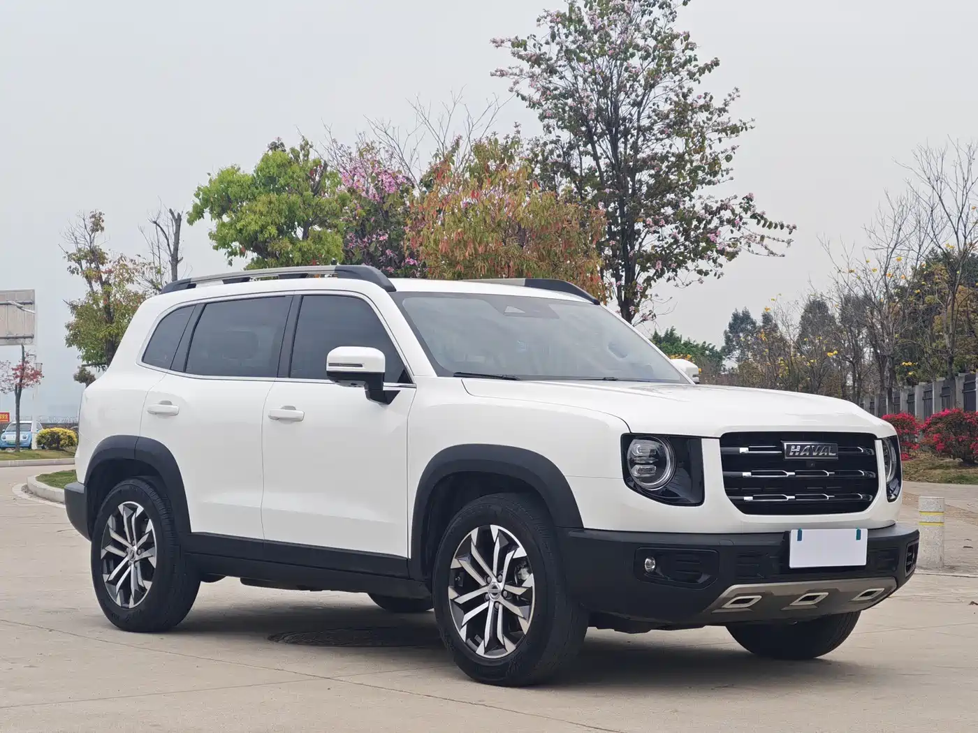 HAVAL BIG DOG