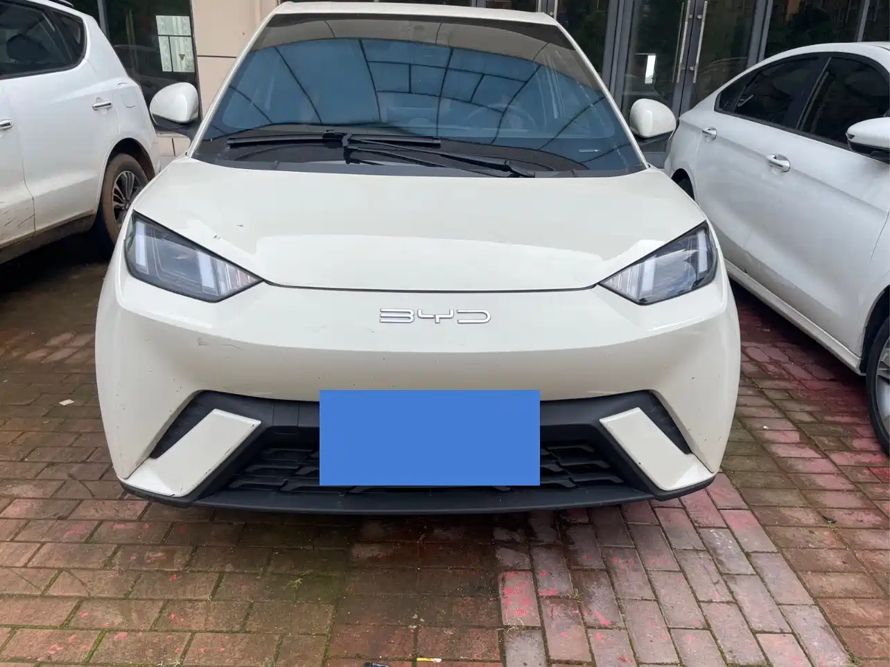 BYD Seagull 2023 Flying Edition