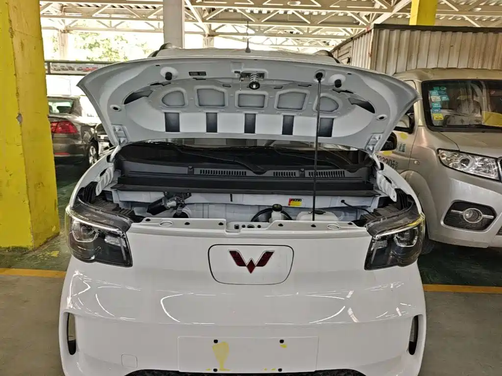 Фото 20 - Wuling Motors Wuling Zhiguang NEV