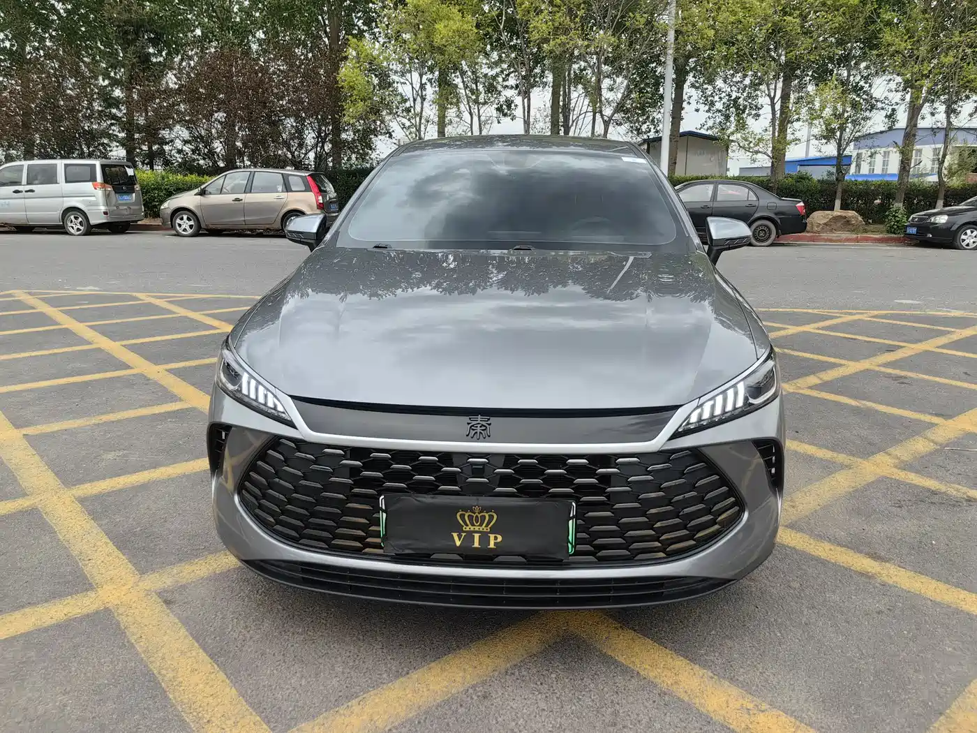 BYD Qin PLUS 2025 DM-i Smart Drive 55KM Leader фото 2