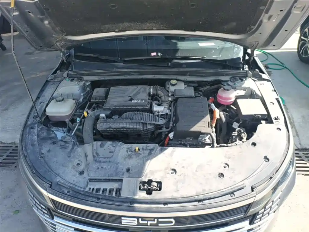 BYD Destroyer 05 2024 Glory Edition DM-i 55KM Luxury фото 20