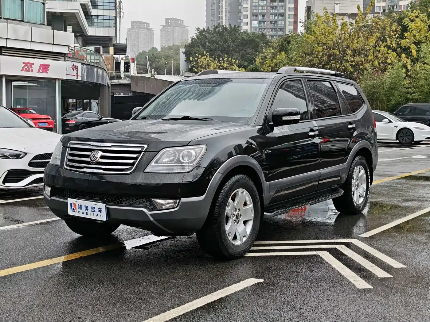 Kia Borego 2013 3.8L Luxury Edition China V фото 5