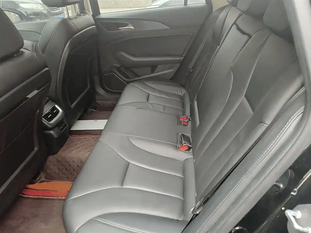 Hongqi H5 2022 Classic Facelift 1.5T DCT Flag Rhythm Edition фото 14