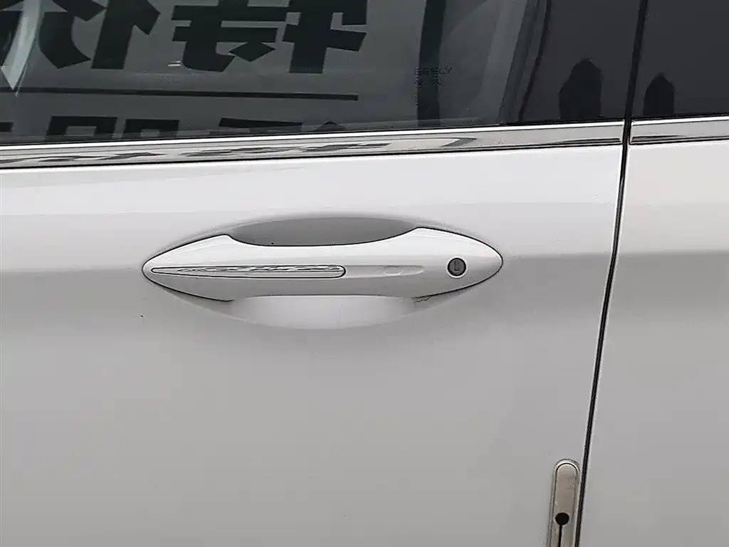 GEELY AUTOMOBILE BORUI