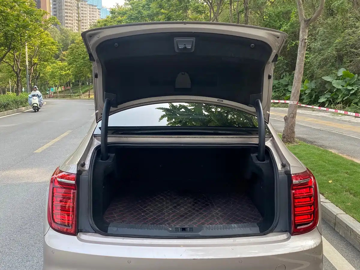 Hongqi H9 2020 2.0T Smart Connection Qi Xiang Edition фото 8