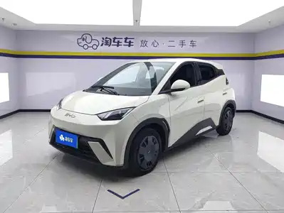 BYD Seagull