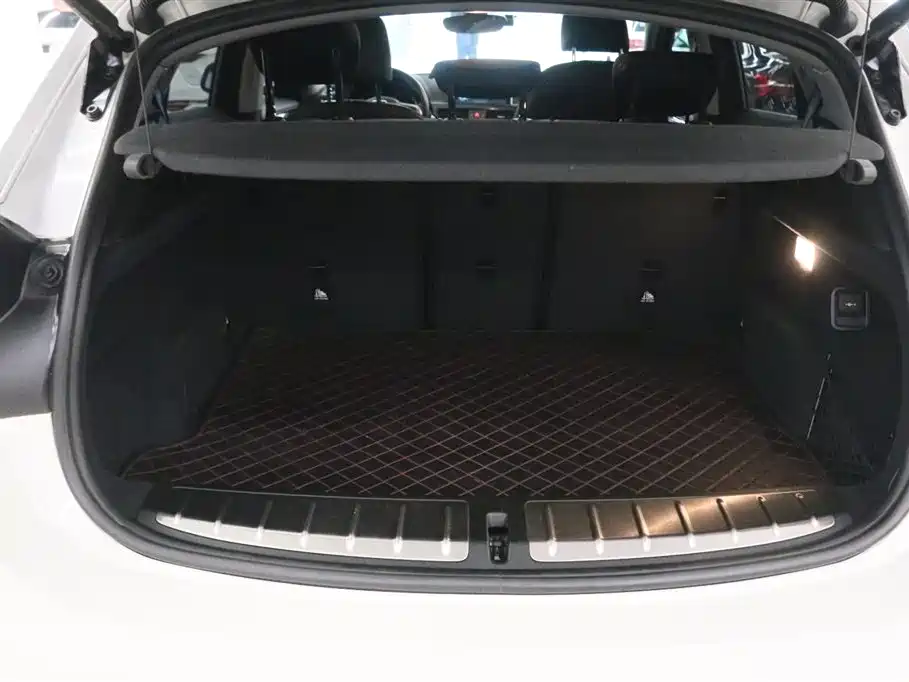 BMW X2 (Import) 2019 sDrive20i M Off-Road Package China VI фото 16
