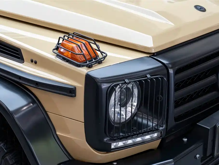 Mercedes-Benz G-Class 2017 Model G 350 d фото 25