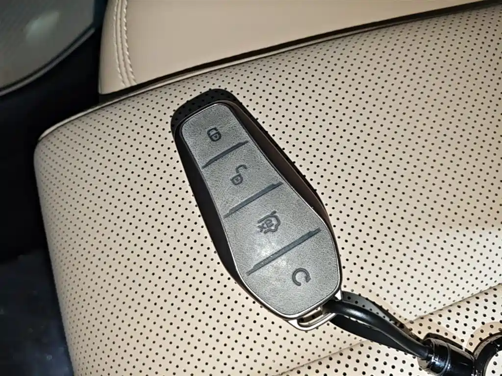 BYD Song Pro New Energy 2025 2nd Gen DM-i 115KM Excellence фото 9