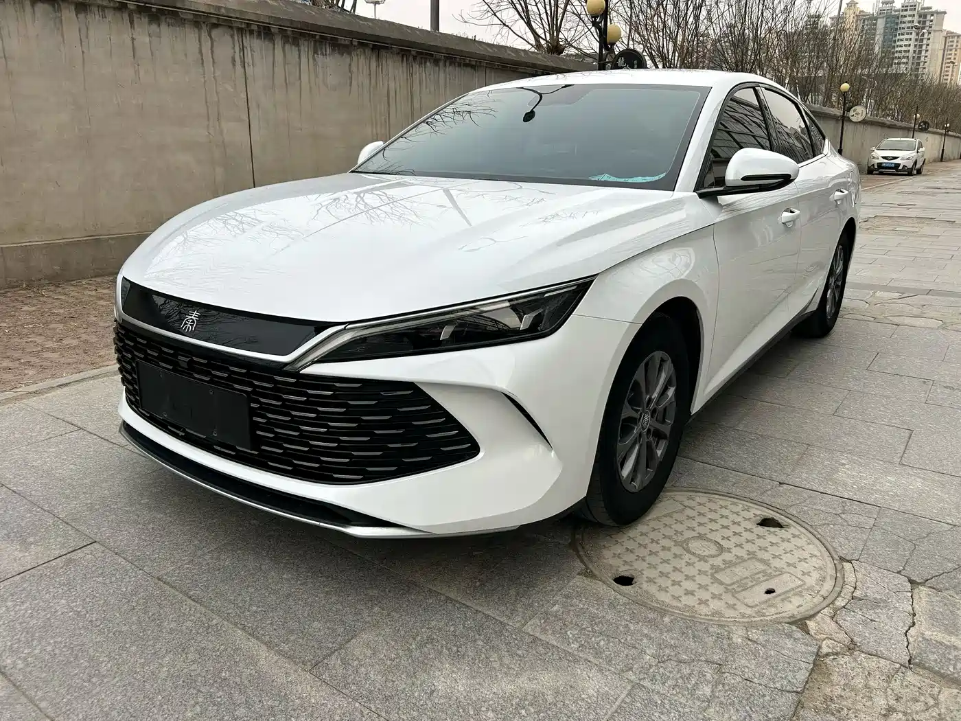 BYD Qin L 2024 DM-i 80KM Leading Edition