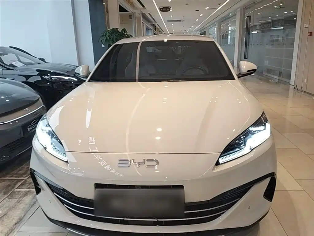 BYD Seal 06 New Energy 2024 DM-i 80KM Prestige фото 3