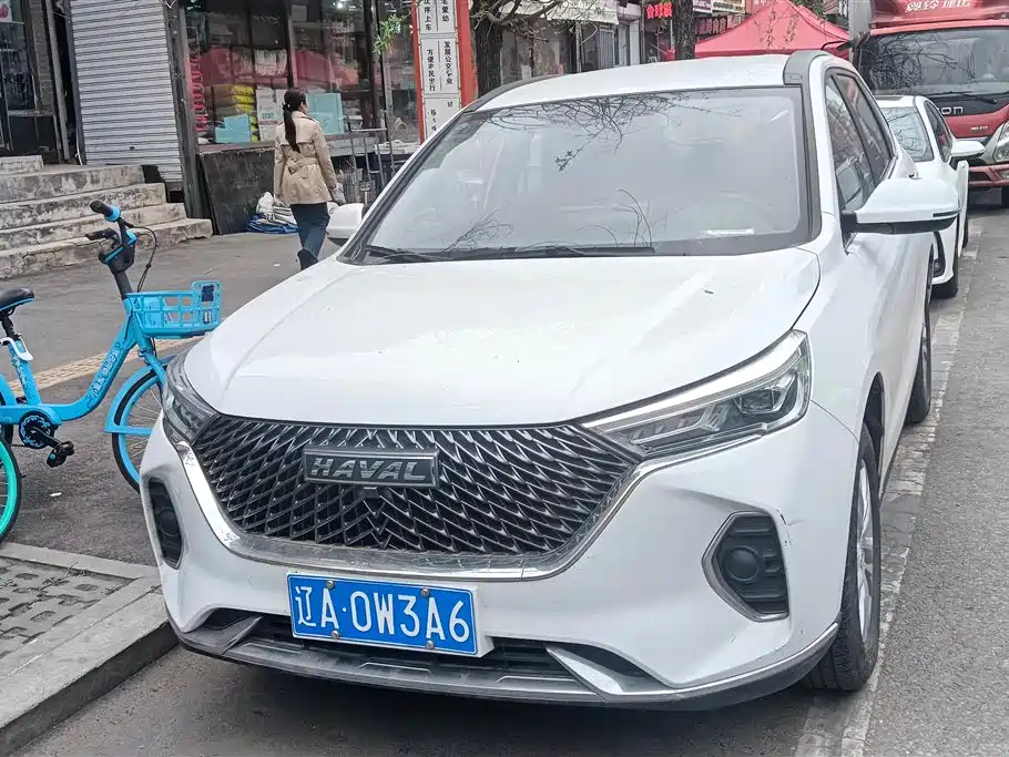 HAVAL M6