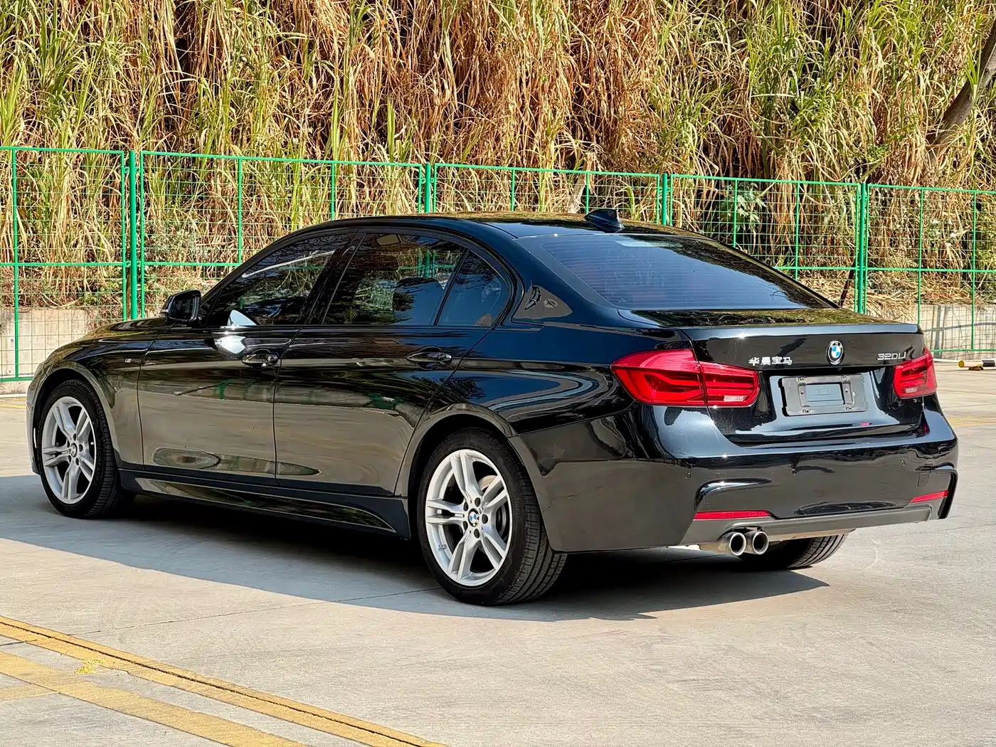 BMW 3 Series 2019 320Li M Luxury Package фото 12