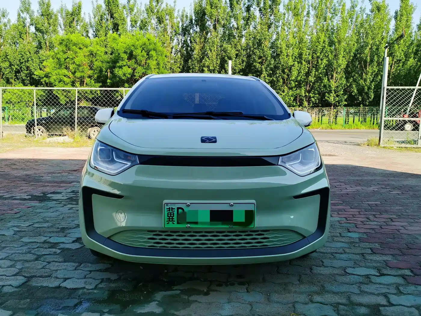 Sehol Flower Fairy 2023 2023 Anniversary 301km Four-Leaf Clover 36kW