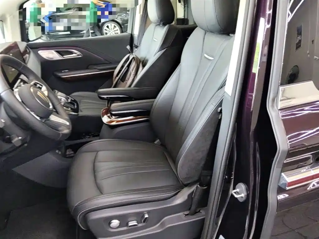 Hongqi HQ9 PHEV 2024 Model 2.0T AWD Luxury Edition фото 22