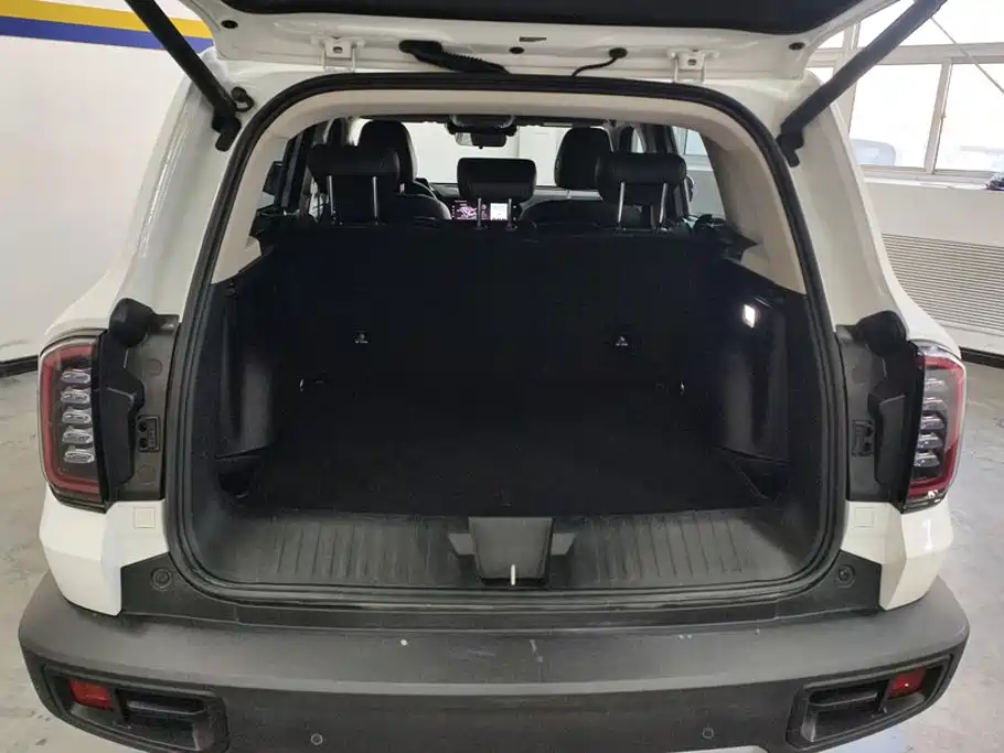Photo 4 - Haval Big Dog