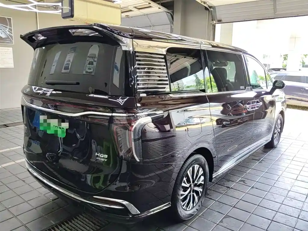 Hongqi HQ9 PHEV 2024 Model 2.0T AWD Luxury Edition фото 12