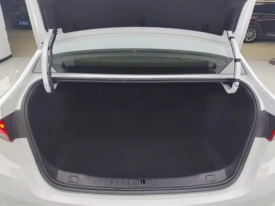 BUICK WEILANG