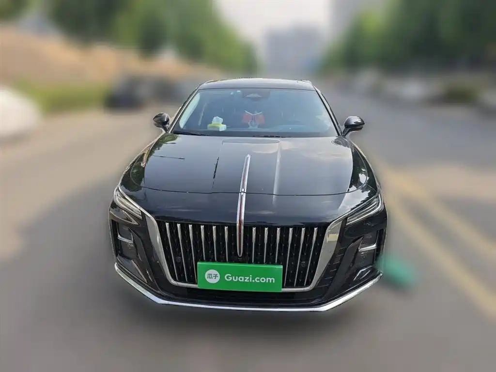 Hongqi H5 2024 2.0T Automatic Smart Connect Flag Smooth Edition фото 3