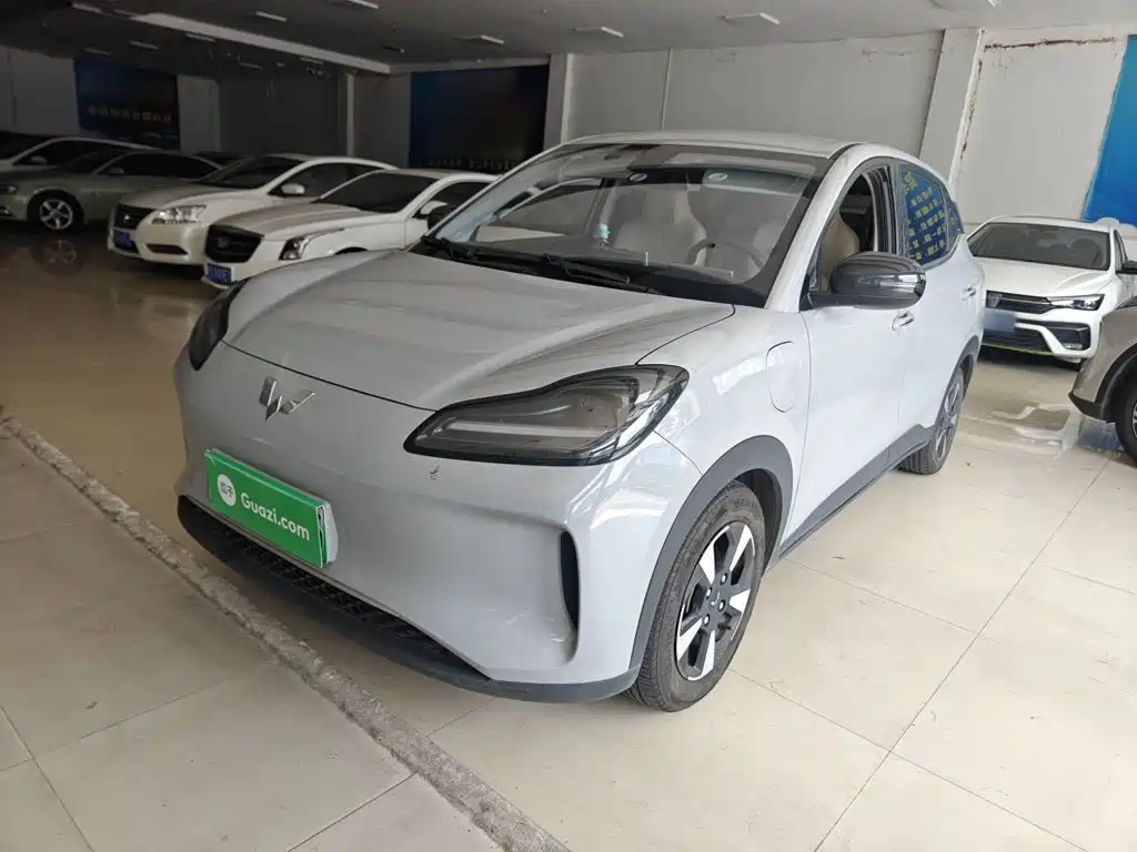 Wuling Motors Wuling Binguo PLUS 2024 2024 Model 330km 5-Seater