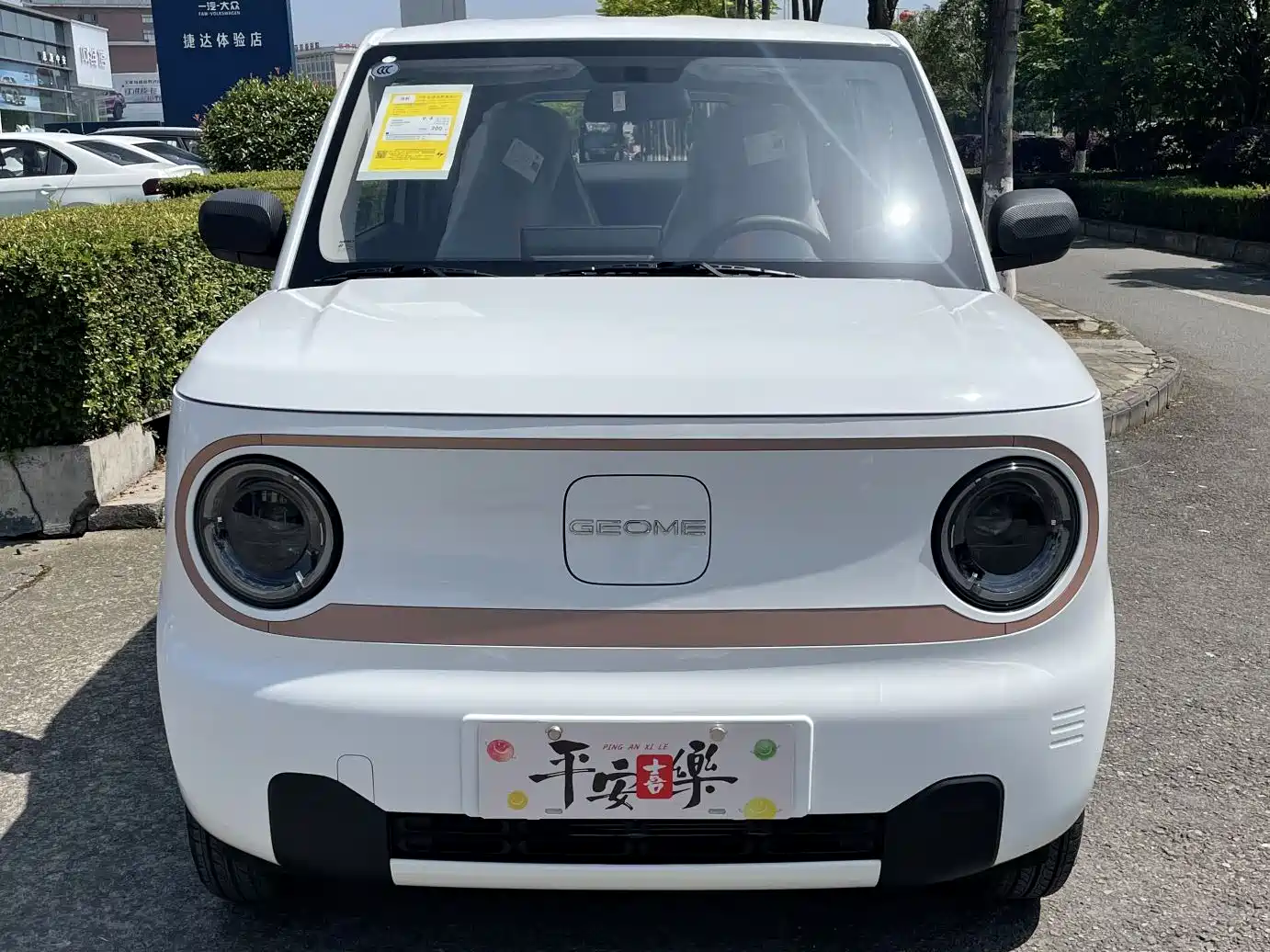 Geely Galaxy Panda 2026 2024 Panda mini 200km Endurance Bear