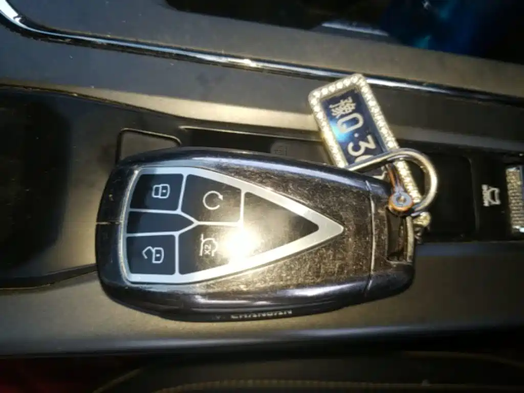 Changan Oshan X5 PLUS 2023 2023 1.5T DCT Excellence