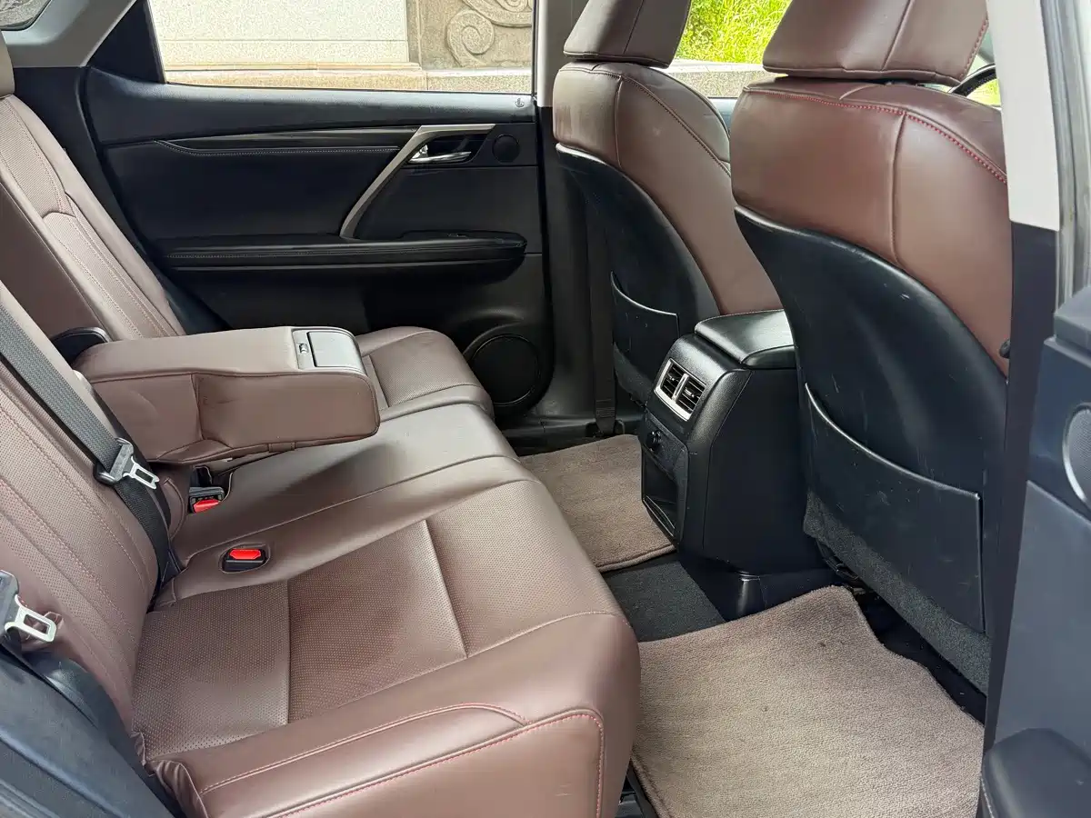 Фото 13 - Lexus RX