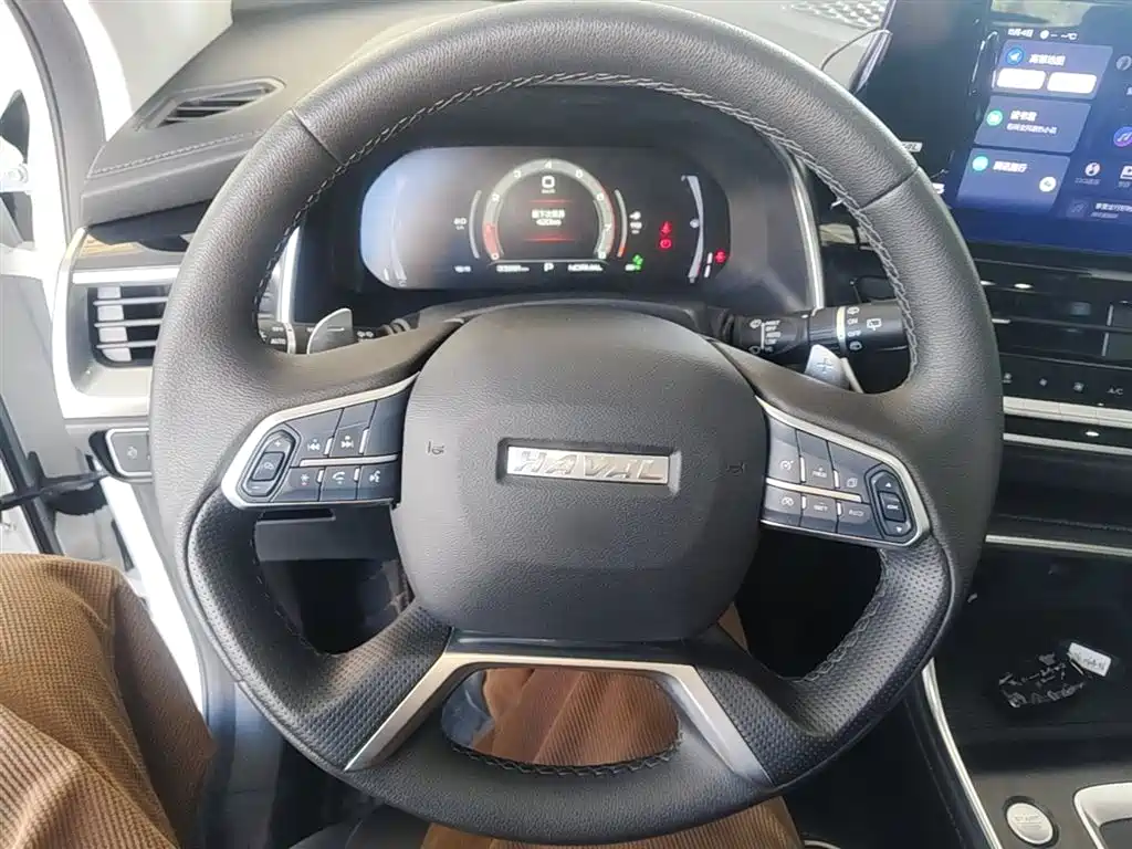 Haval H6 2023 National Trend Edition 1.5T Automatic Champion фото 11