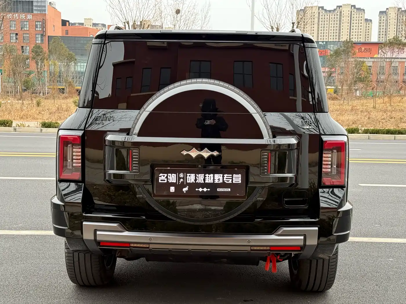 FANG CHENG BAO LEOPARD 8